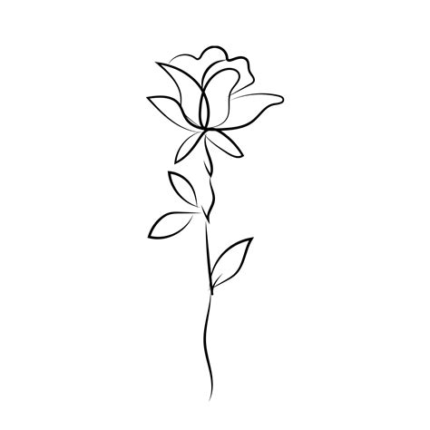 Rose Line Art, Rose Drawing, Rose Sketch, Line Art PNG and Vector with ...