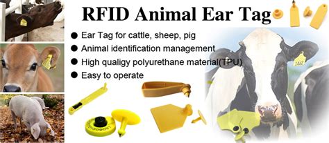 rfid uhf animal ear tag ,rfid pig ear tag ,rfid cattle ear tag ,rfid ...