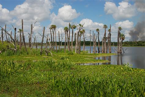 Orlando Wetlands Park | Trails & Travel