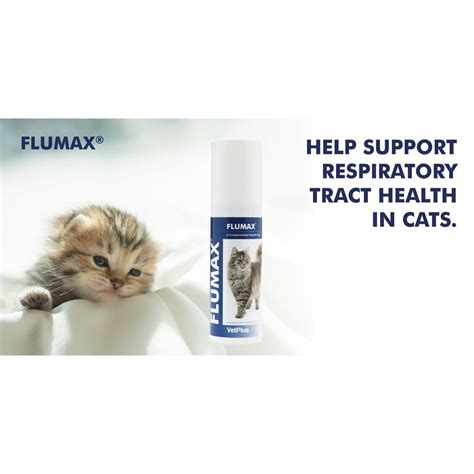 VetPlus Flumax Supplement Cat Flu Prevention Respiratory Tract Care ...