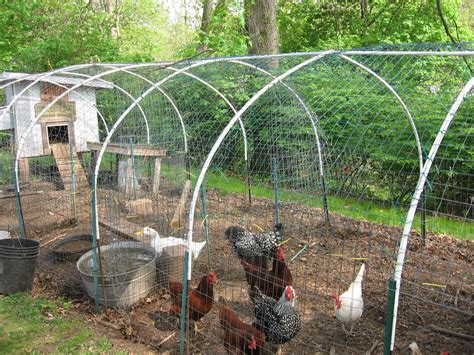 please help...need to build chicken run fast and cheap! (chickens forum at permies) | Chickens ...