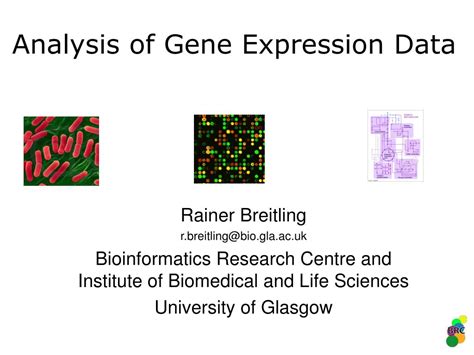 PPT - Analysis of Gene Expression Data PowerPoint Presentation, free ...