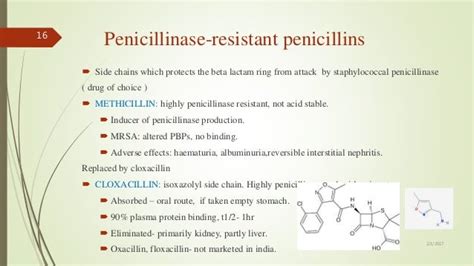 Beta lactam antibiotics (penicillins and cephalosporins)