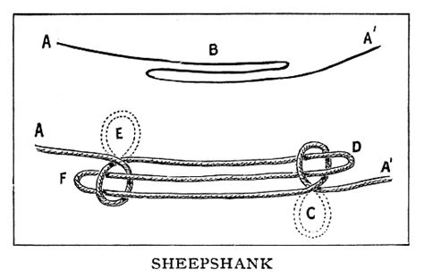 Sheepshank Knot Stock Illustration - Download Image Now - 19th Century, 19th Century Style ...