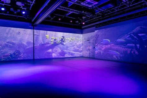 Epson projection helps transform Chailey Heritage Foundation | blooloop