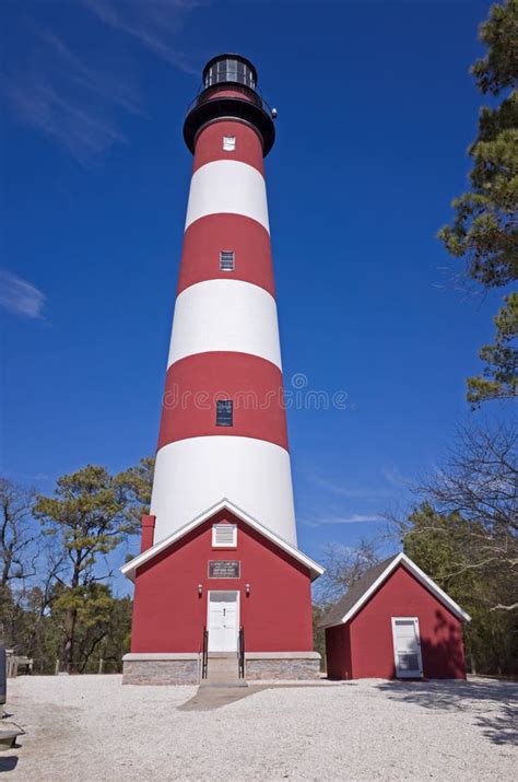 Assateague Island Lighthouse Stock Photo - Image of white, bright: 38898460