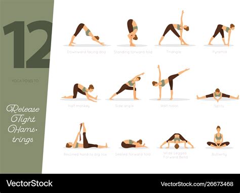 12 yoga poses to release tight hamstrings Vector Image