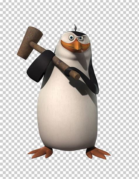 Rico Penguin Teetsi Madagascar DreamWorks Animation PNG, Clipart, Beak, Bird, Conrad Vernon ...