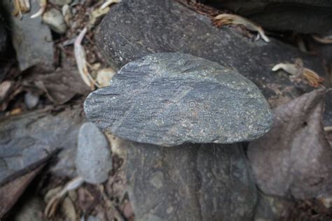 A Raw Specimen of Andesite Extrusive Igneous Rock. Stock Image - Image of gray, dark: 243744377