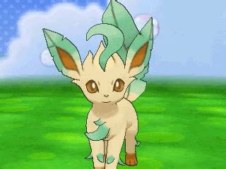 Leafeon GIFs - Find & Share on GIPHY