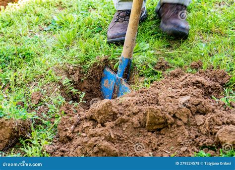 Man Digging Hole with Shovel Stock Photo - Image of grass, planting: 279224578