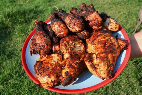 Plate of grilled chicken 2 stock photo. Image of legs - 43155540