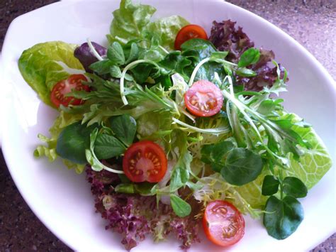 Food Endeavours of the Blue Apocalypse: Japanese Tofu Salad