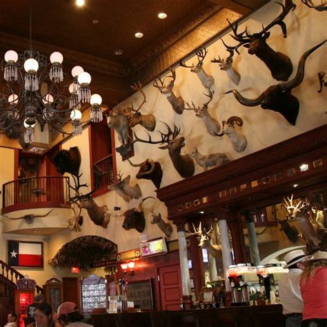 Buckhorn Saloon and Museum – San Antonio, Texas - Gastro Obscura