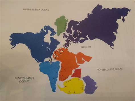 tétel téli köntös printable pangea puzzle szókincs átlagos Elbűvöl