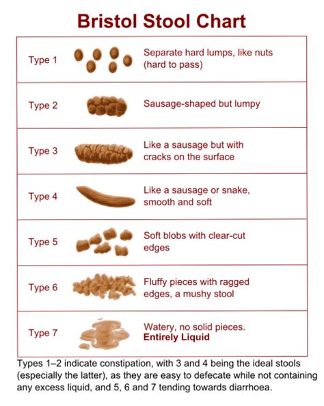 Bristol Stool Chart - Health Restored