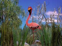 Flamingos | Muppet Wiki | Fandom powered by Wikia