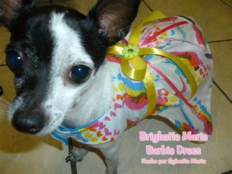 The Doggie House PR: Barbie Dog Dress