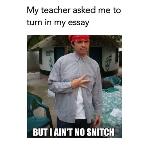 Free stock photo of essay meme