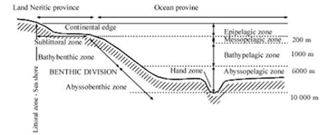 ZONATION OF MARINE ENVIRONMENT