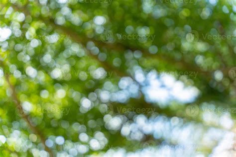 Abstract green nature bokeh background. Soft background blur of natural foliage. 21786664 Stock ...