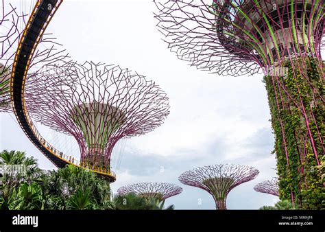 Singapore supertrees Stock Photo - Alamy