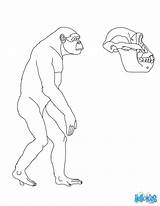 Homo erectus With A spear coloring Pages Hellokids Com – Artofit sketch template