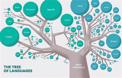 The Tree of Languages Infographic for National Geographic Learning ...