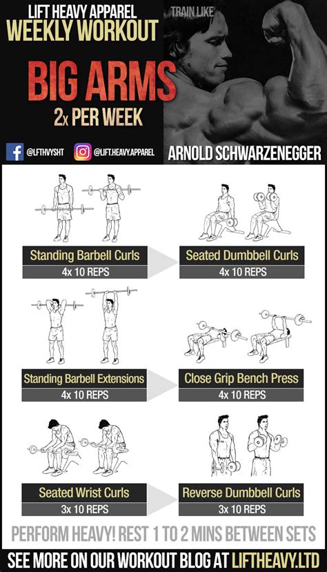 Arnold Arms Workout | EOUA Blog