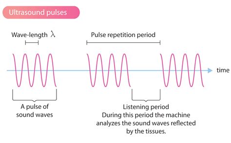 Reflection Of Sound Waves Videos Concepts Applications