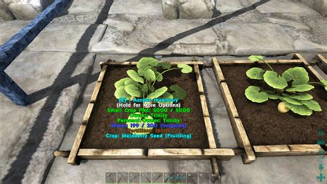 [Top 5] Ark Survival Evolved Best Crops To Grow | Gamers Decide