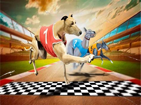 CRAZY DOG RACING GAME 2020 ~ PaCo Games