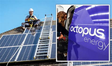 Octopus Energy to bring solar panels to British homes and slash bills ...