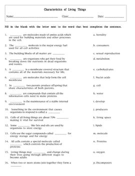 4 Characteristics of Living Things Worksheet set with keys | TpT