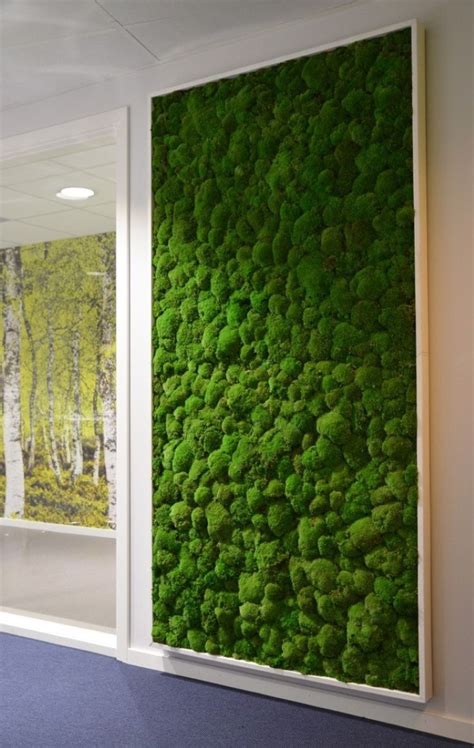 Realisaties | Garden wall, Moss wall, Vertical garden