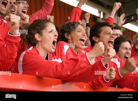 Fans celebrating at football match Stock Photo - Alamy