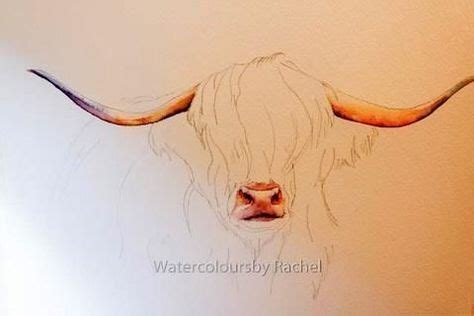 Cow painting - Love painting How to paint a highland cow in 7 easy ...