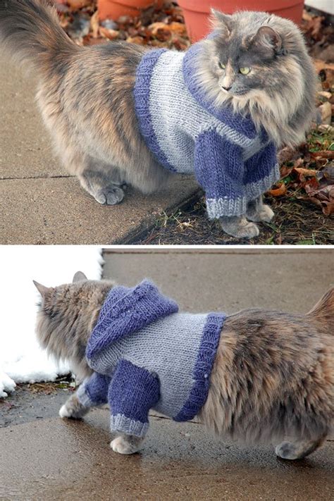 Free Knitting Pattern for Cat Hoodie | Cat sweater pattern, Cat sweater knitting pattern ...