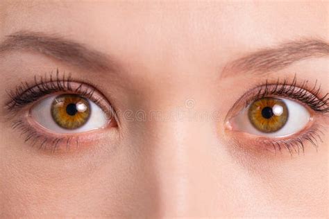 Brown eyes close-up stock photo. Image of pretty, close - 137174630