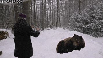 Sleepy Bears GIF by Cheezburger - Find & Share on GIPHY