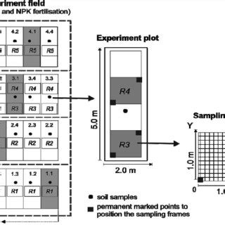 Experimental design (example of an experiment field with four variants)... | Download Scientific ...