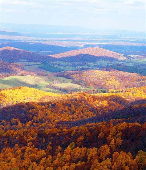 Fall Colors in Virginia Blue Ridge by Shenandoah Nat. Park