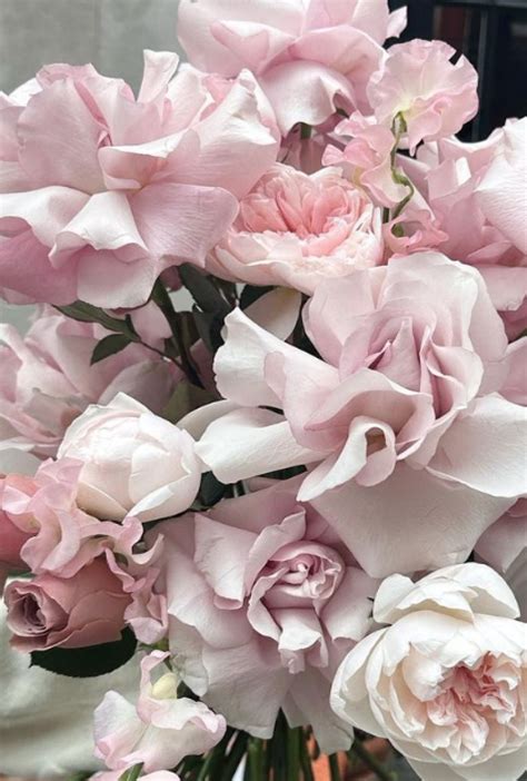 Pale Pink Roses Bouquet – Luminaireco