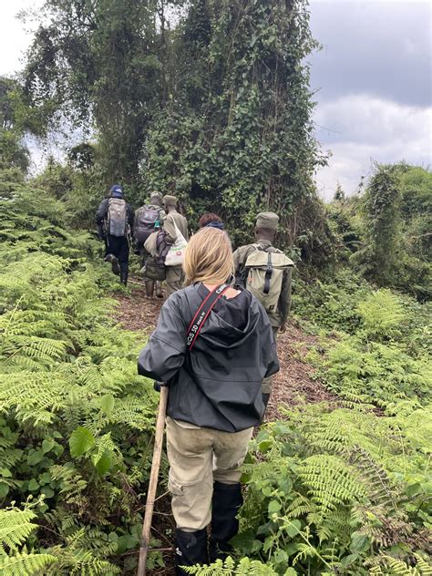 I Went Gorilla Trekking in Rwanda – Here's How I Did It! - Vacationer ...