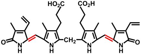 What is the Difference Between Bile Salts and Bile Pigments - Pediaa.Com