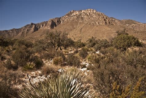 Guadalupe Peak - Mountain Field Guide