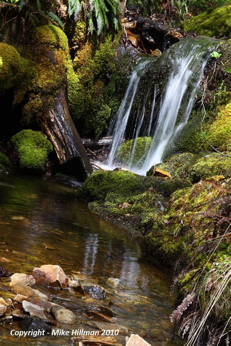 Woodland Waterfall | A small waterfall in the woodlands belo… | Flickr