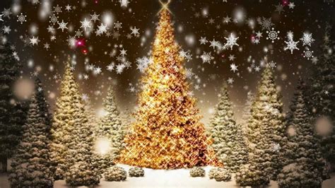 Snowflakes Falling Christmas Trees Motion Graphic Video Loop Free Download - YouTube