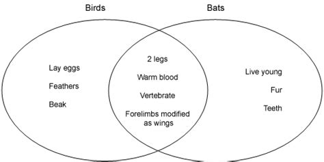 Venn diagrams | Assessment Resource Banks