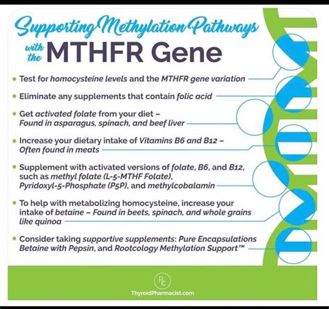 Pin by Heather Brooke on Knowledge is power | Mthfr, Mthfr gene, Mthfr gene mutation